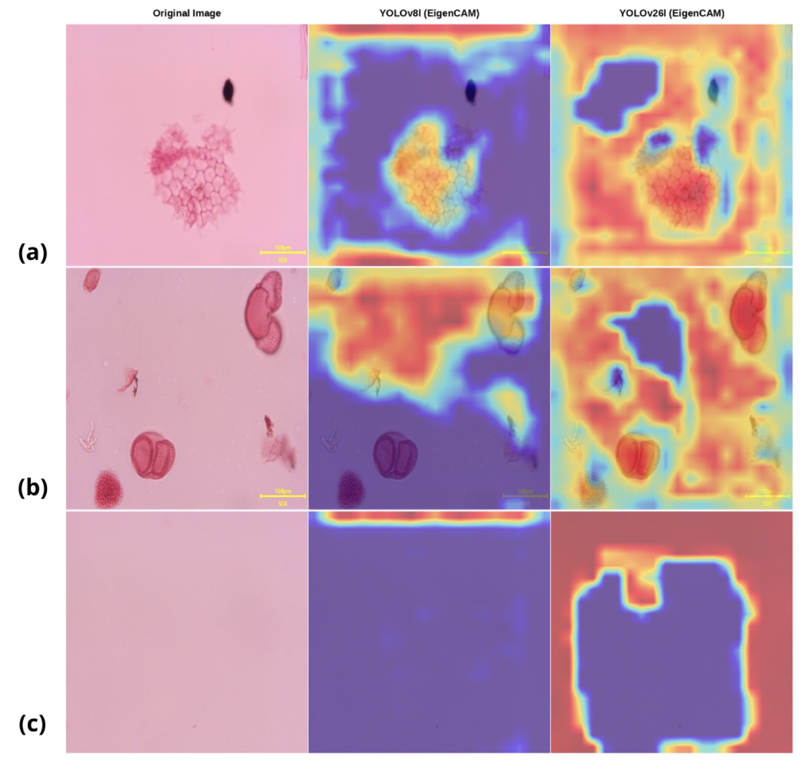 EigenCAM heatmaps for YOLOv8l and YOLOv26l